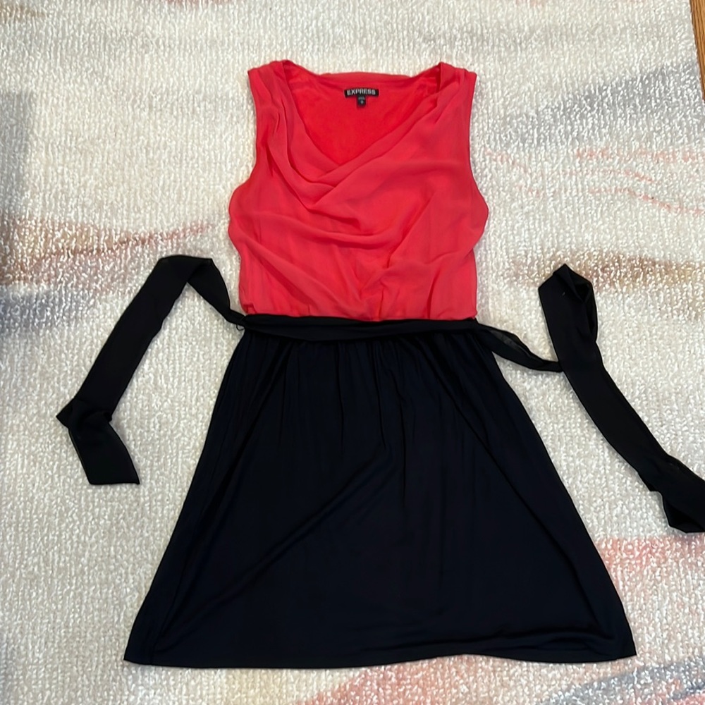 Used Great Condition Express Dress Small